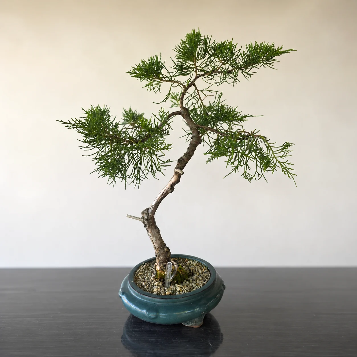 Chinese jeneverbes