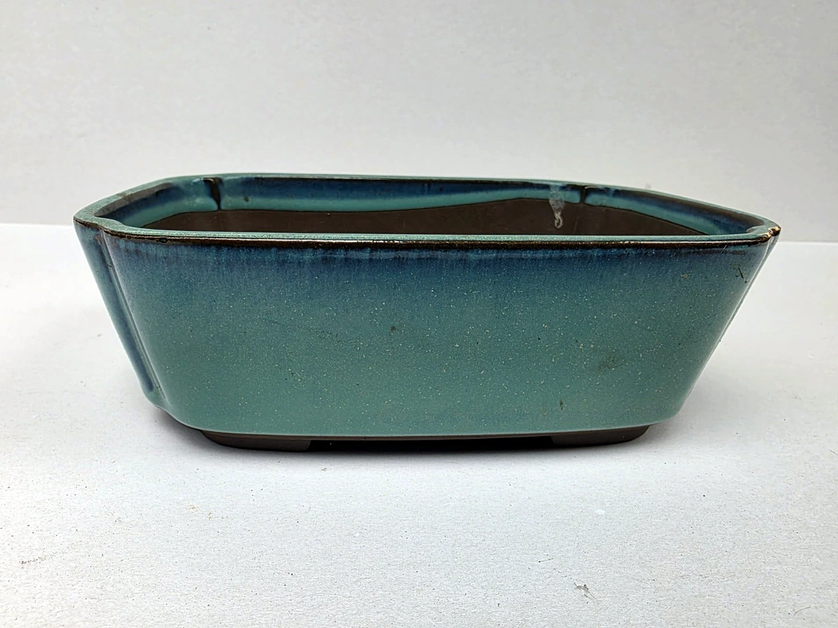 Turquoise bonsaischaal – vooraanzicht