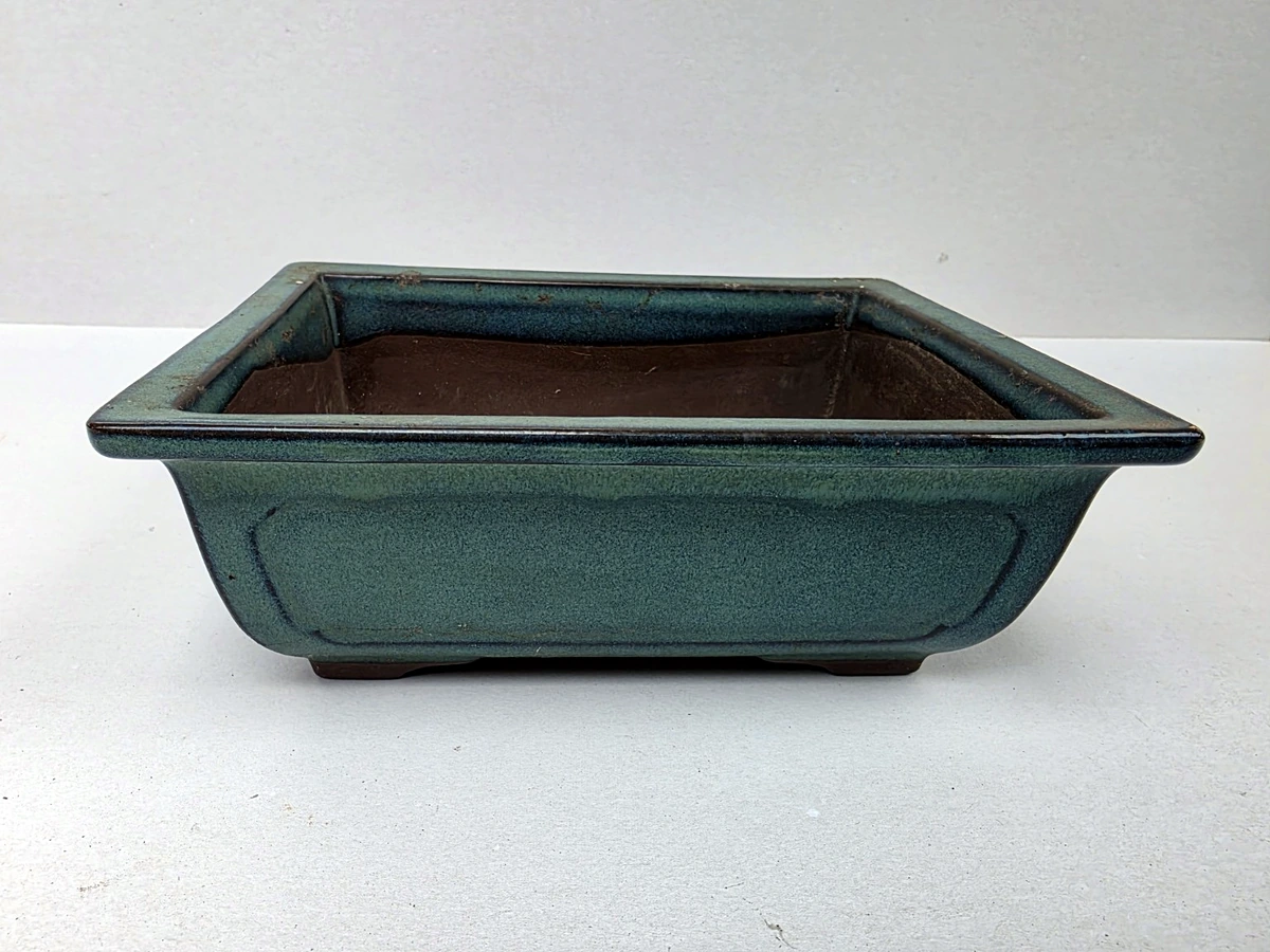 Blauwgroene bonsaischaal – vooraanzicht