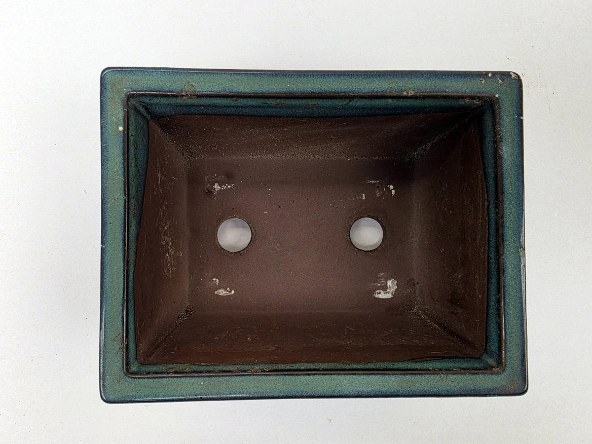 Blauwgroene bonsaischaal – bovenaanzicht