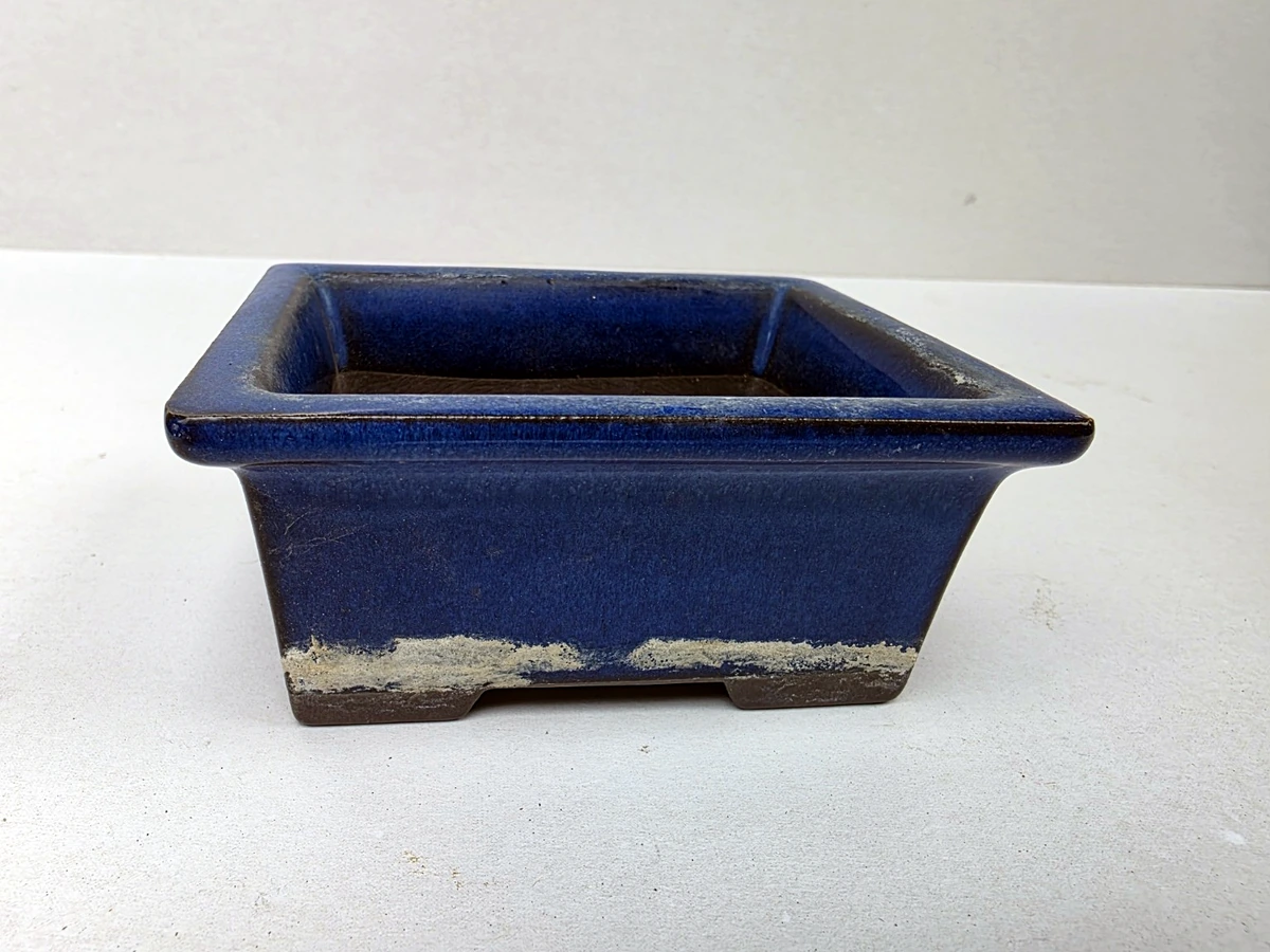 Blauwe bonsaipot – vooraanzicht