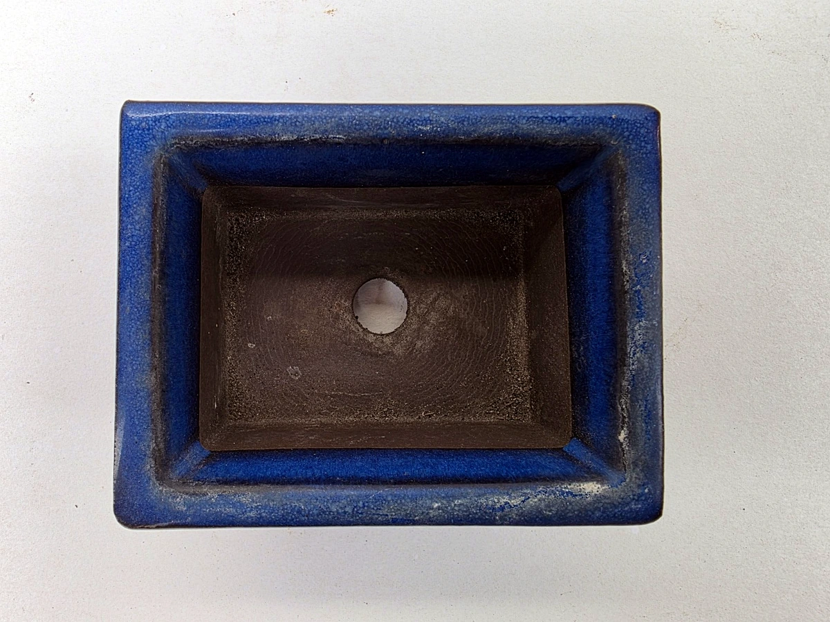 Blauwe bonsaipot – bovenaanzicht