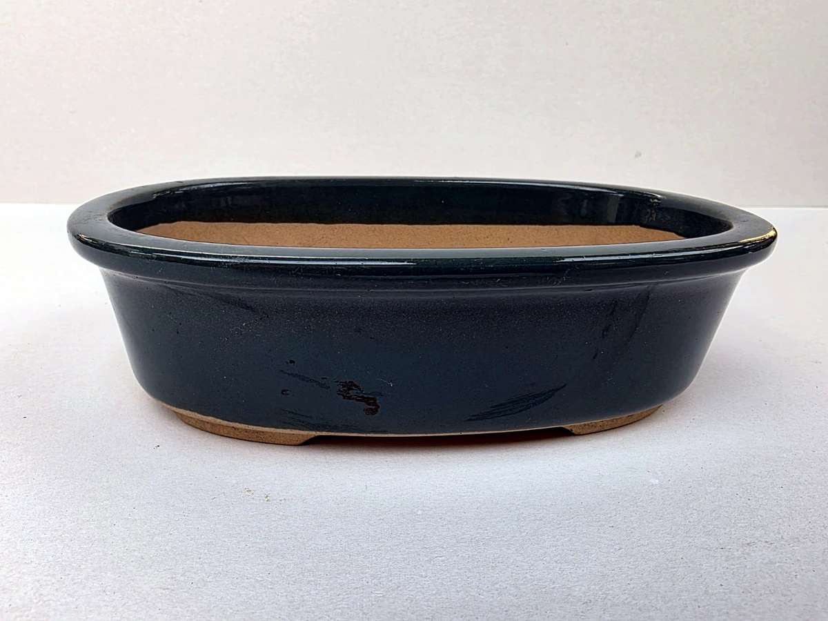 Groenblauwe bonsaischaal – vooraanzicht