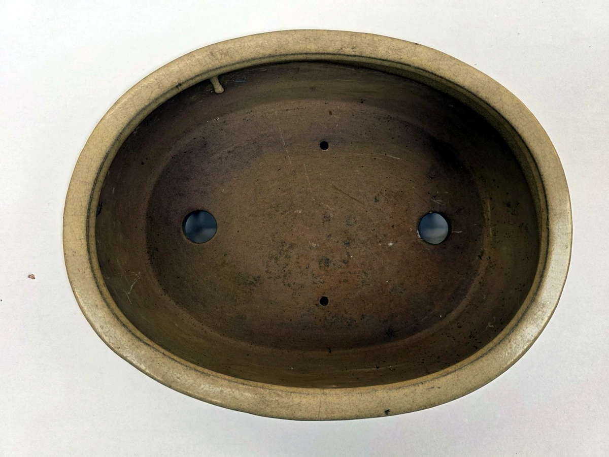 Beige bonsaischaal – bovenaanzicht