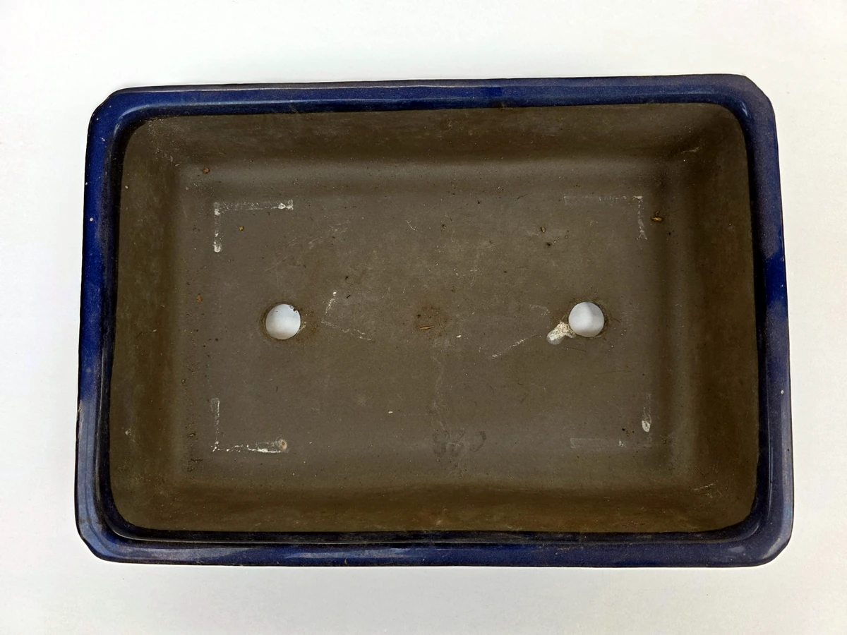 Blauwe bonsaischaal – bovenaanzicht